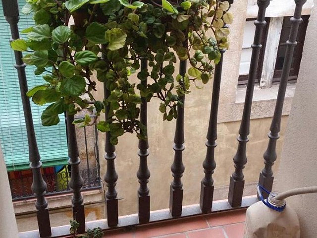 آپارتمان برای فروش در Born, Sant Pere, Santa Caterina i la Ribera