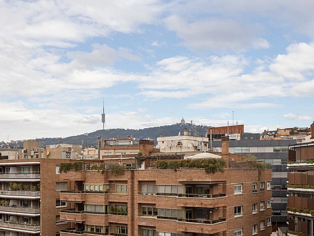 Vistas