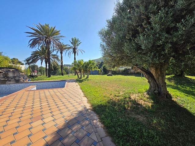 Patio Jardín