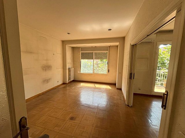 picture 3.jpg 1752747936313