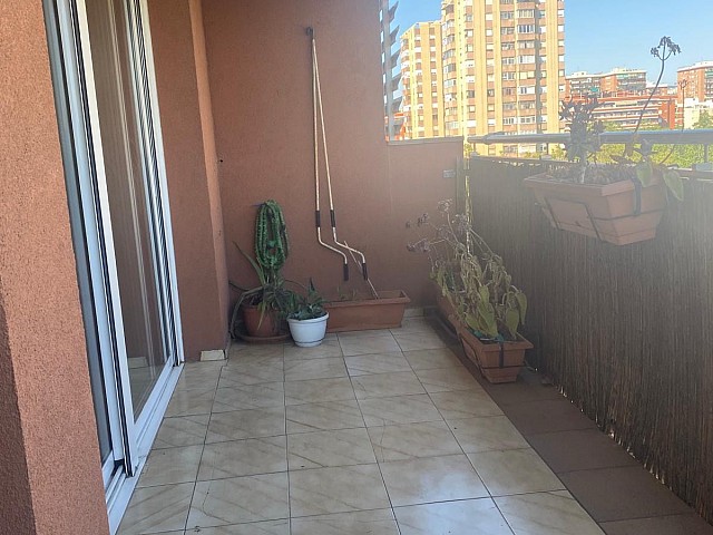 WhatsApp Image 2025 07 31 at 19.22.32 (2)