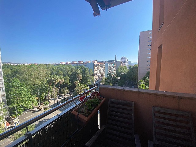 WhatsApp Image 2025 07 31 at 19.22.31 (1)