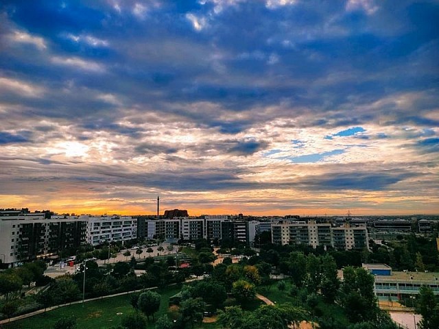 DeWatermark.ai 1754483021283