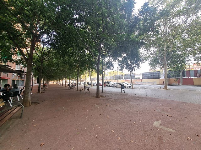 WhatsApp Image 2025 08 14 at 10.44.53