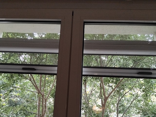 P140995 Parlament mosquitera