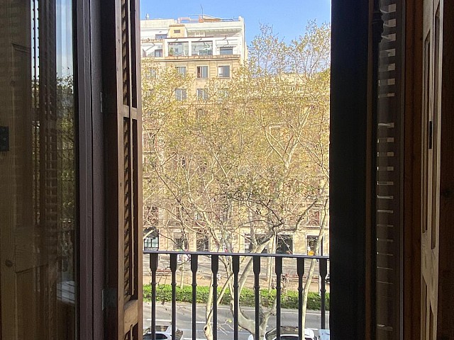 WhatsApp Image 2025 09 01 at 17.16.11