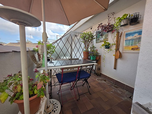 WhatsApp Image 2025 10 16 at 15.15.11