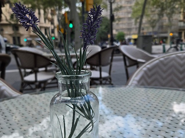 Piso en venta en Eixample Izquierdo Barcelona 