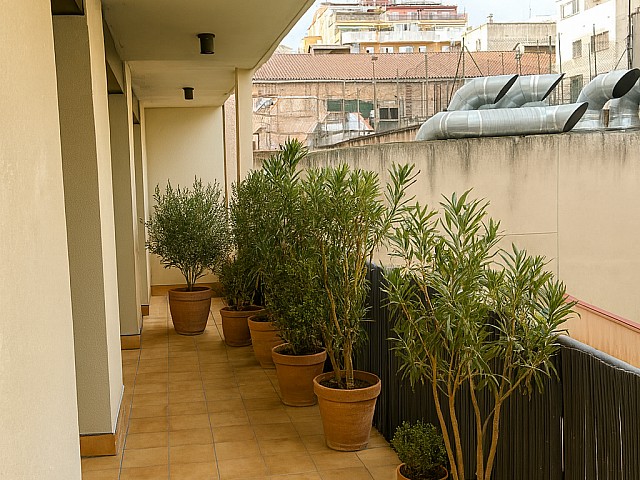 Terraza