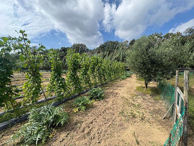  Casa Masia en venta en Sant Daniel Tordera  (1)