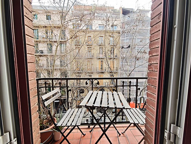 WhatsApp Image 2026 03 12 at 16.16.39