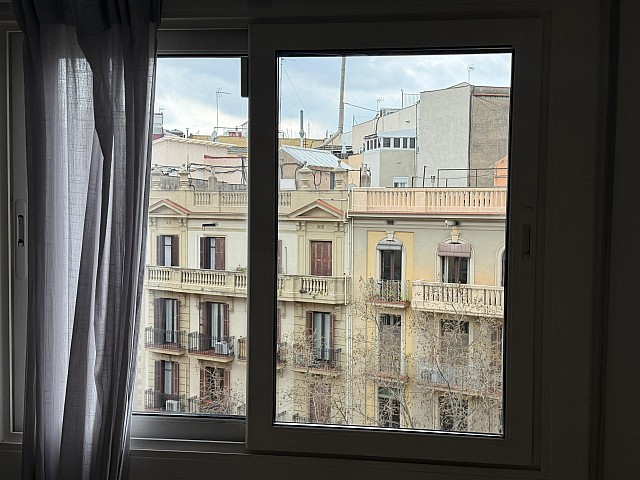 WhatsApp Image 2026 03 12 at 16.10.33