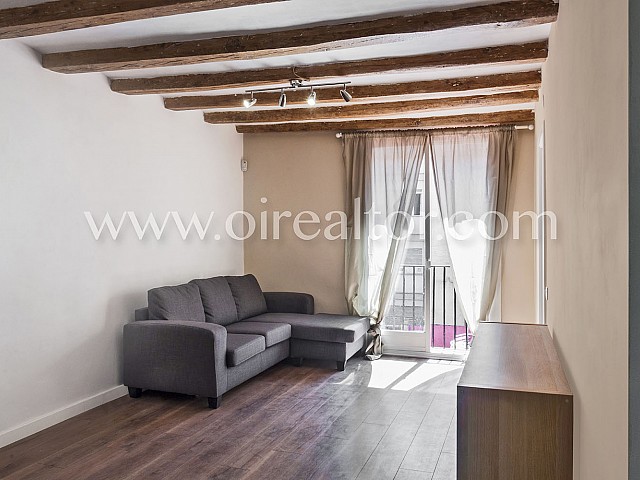 Cozy apartment for sale, very central and recently renovated, the Raval, Barcelona