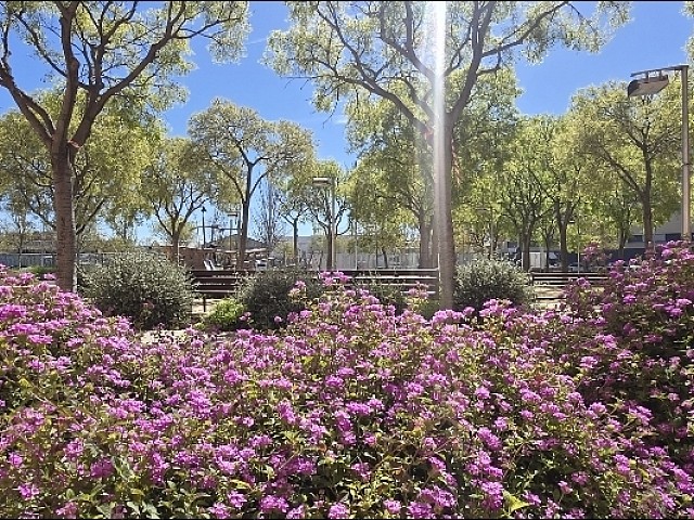 Piso En Venta En El Bon Pastor, Barcelona.