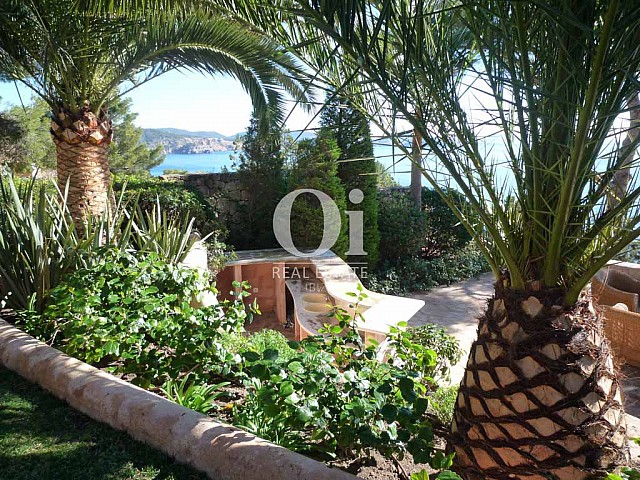 Красивый сад с пальмами при роскошной вилле на острове Ибица, для аренды на время солнечного отпуска 