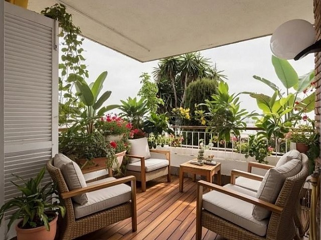 Terraza