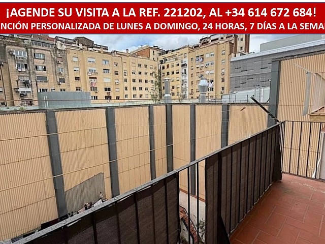 Imagen1