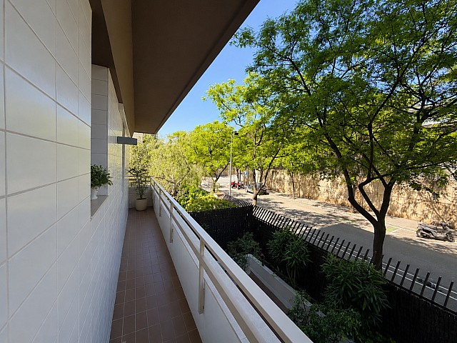 Terraza2