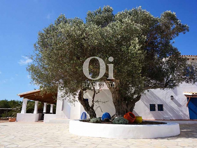 Casa en alquiler vacacional en Formentera 