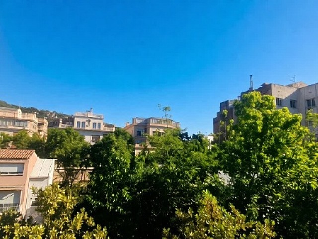 vistas2