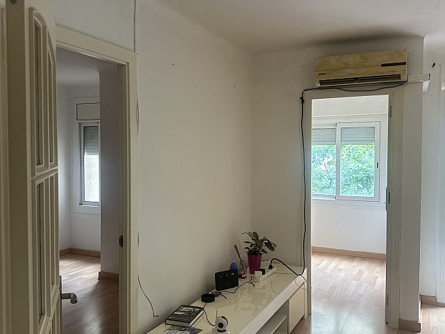 IMG 1262