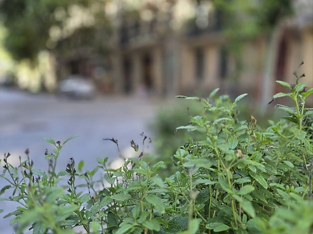 Exclusivo Ático a reformar en Eixample Derecho
