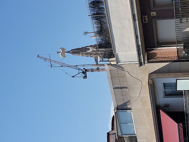 picture (1)