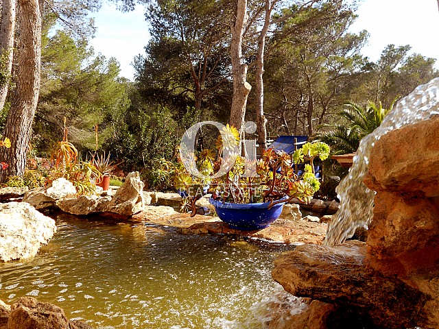 Blick auf den Teich vom Haus zum Verkauf in Punta Galera, Ibiza