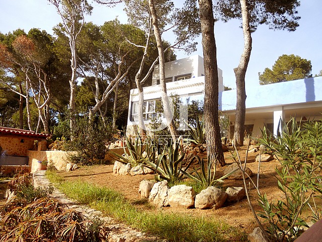 Blick auf den Außenbereich vom Haus zum Verkauf in Punta Galera, Ibiza