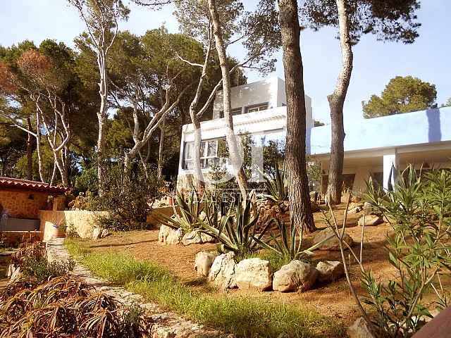 Jardin de maison en vente à Punta Galera, Ibiza 