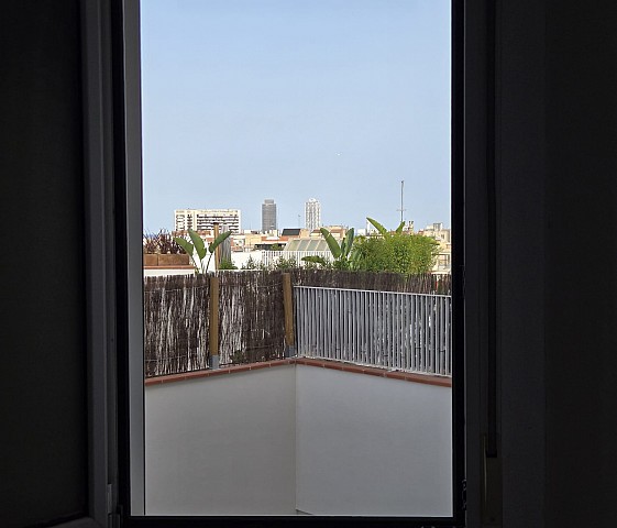 Vista