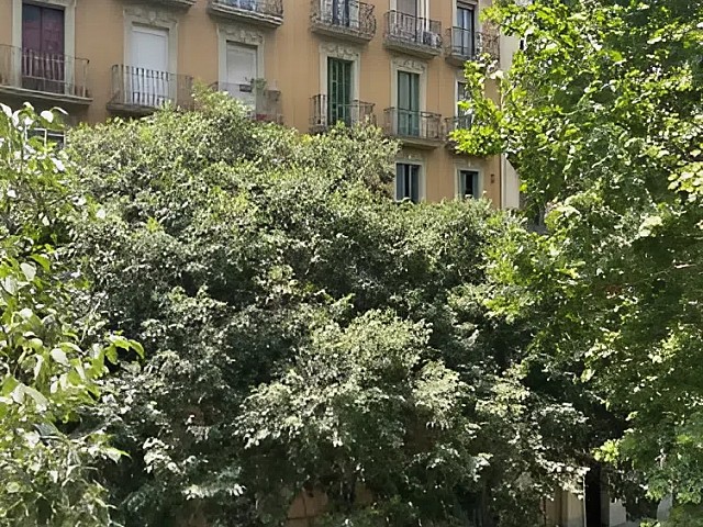 Vistas