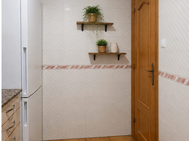 Detalle de pared alicatada con planta decorativa