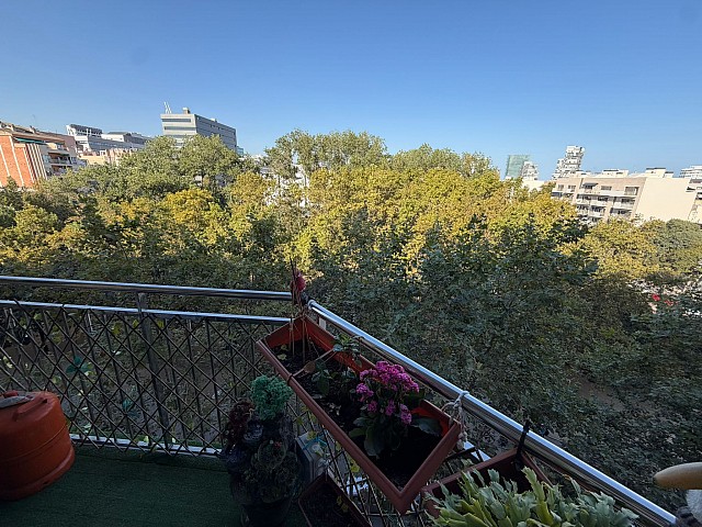 Piso en venta en Poblenou Barcelona (25)