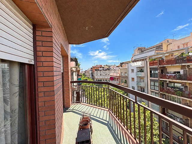 Terraza
