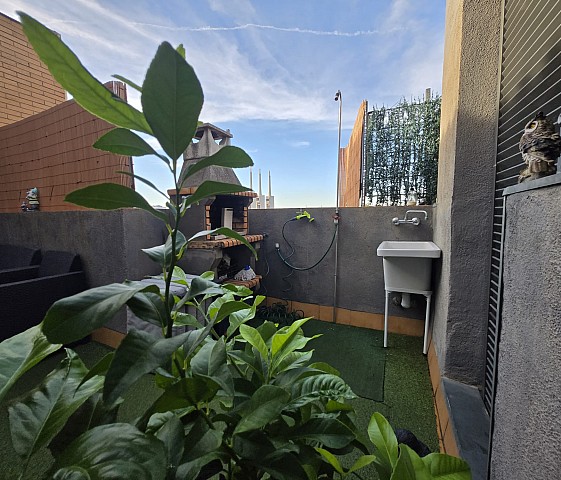 Terraza