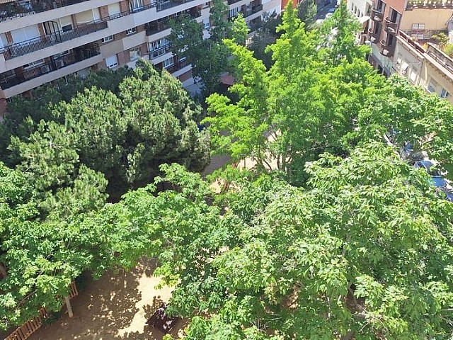 Vistas al entorno ajardinado en piso en venta en Sant Gervasi-La Bonanova, Barcelona, REF 283219