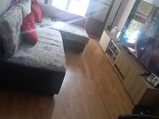 picture (1)