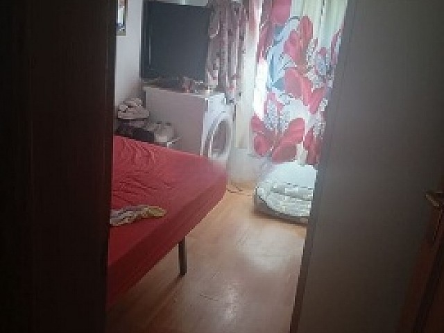 picture (7)