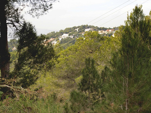 Land for sale in luxury residential area in Can Furnet in Ibiza