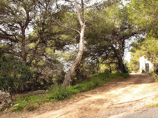 Wooded land for sale in luxury residential area in Ibiza