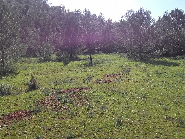 Vistas del terreno