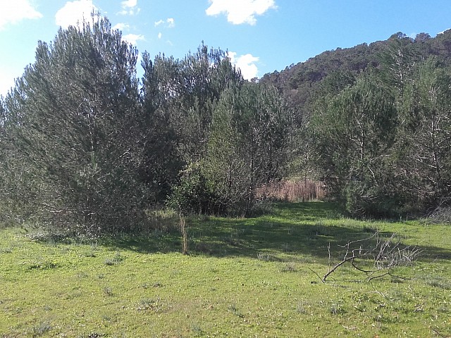 Vistas del terreno