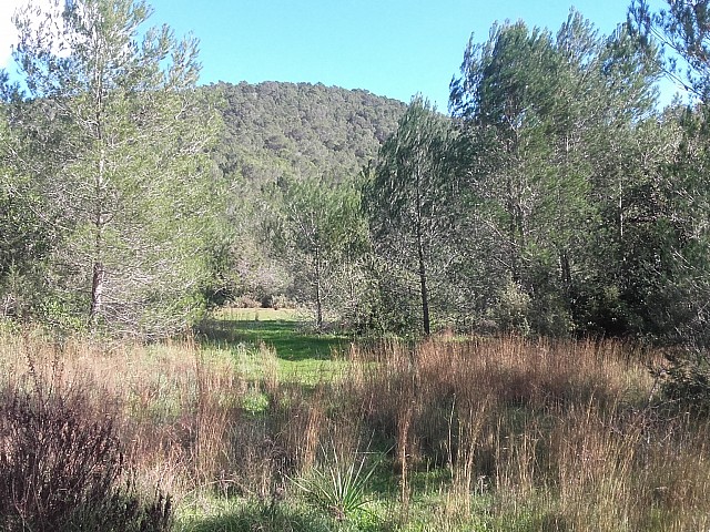 Vistas del terreno