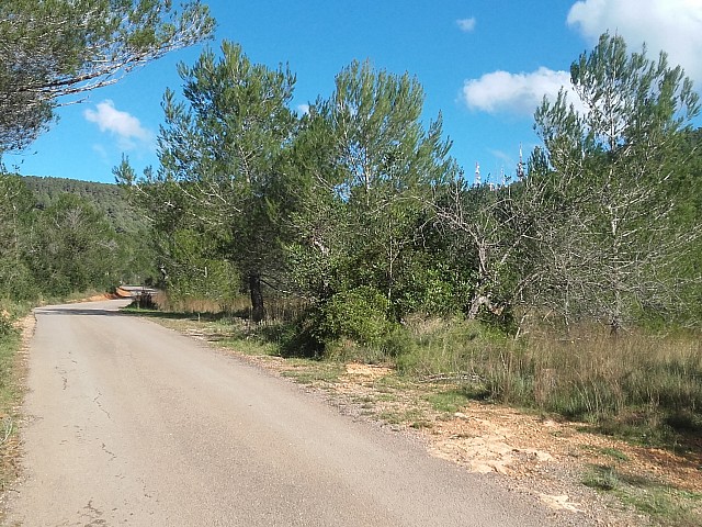 Vistas del terreno