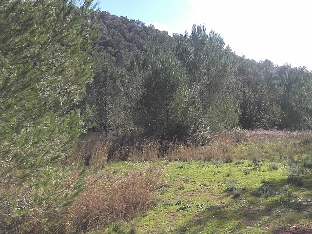 Vistas del terreno