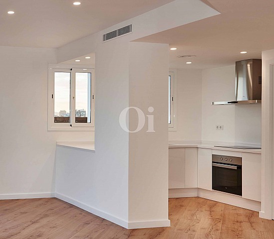 Vistas de la cocina amplia y moderna