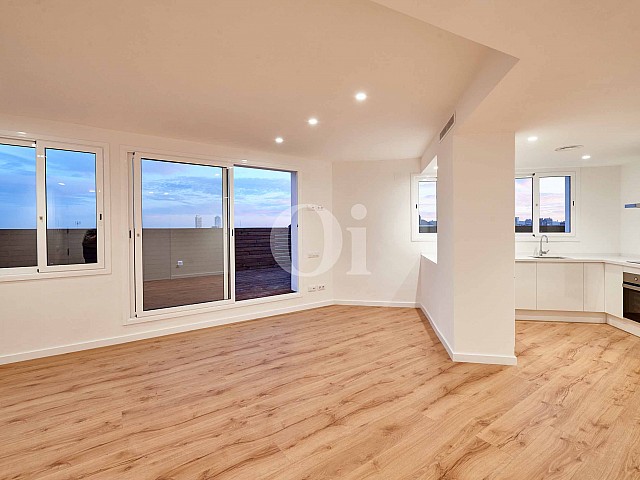 Estança principal àmplia amb accés a la terrassa