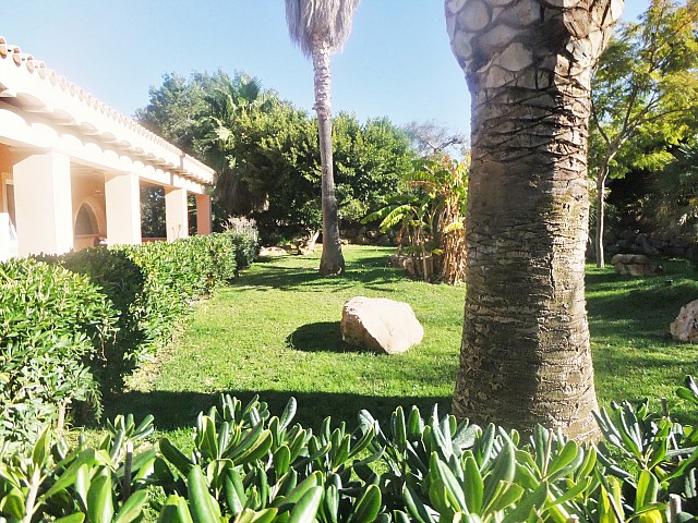 Зеленый сад дома в аренду рядом с Сан Хосе