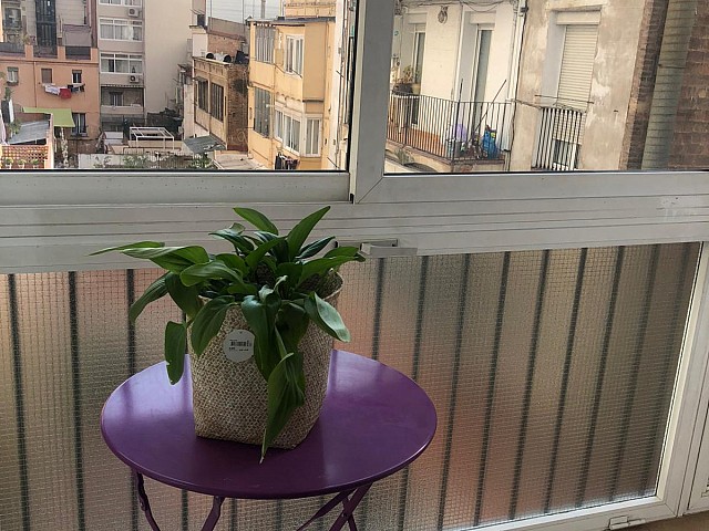 Hermoso Piso en Calle Roselló (Peatonal)